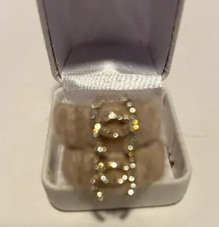 Beautiful Lux Earrings