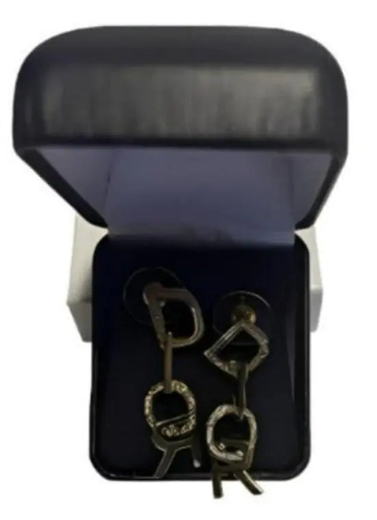 Luxury Pendant Earrings