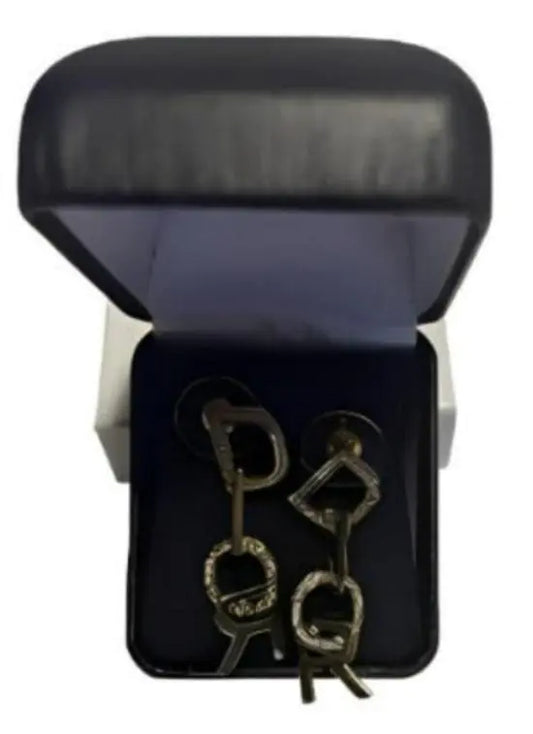 Luxury Pendant Earrings