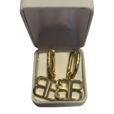 Beautiful Pendant Lux Earrings