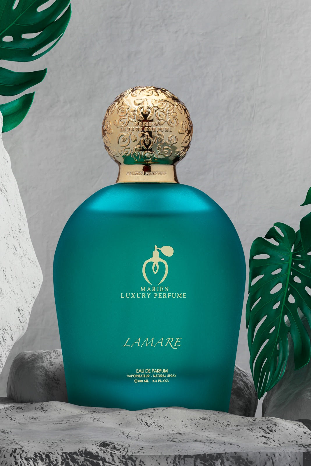 Marien Century Unisex Luxury Eau de Parfum | Woody and Fresh - 100ml-3